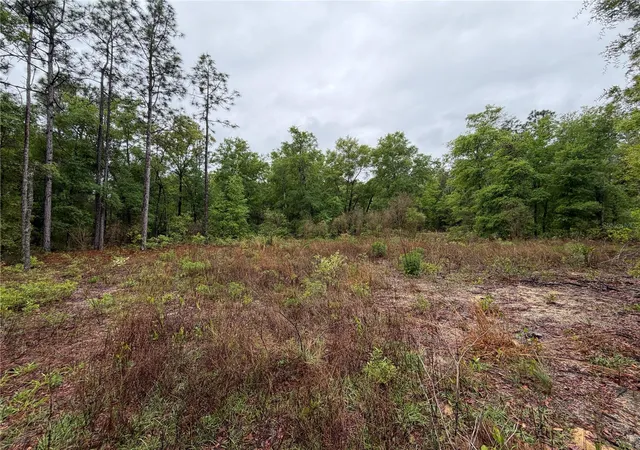 Photo 3 of Land for sale at 301 Rainbow Dr, Hawthorne, FL 32640 | MLS# GC539236 | Listing updated on 2026-07-01