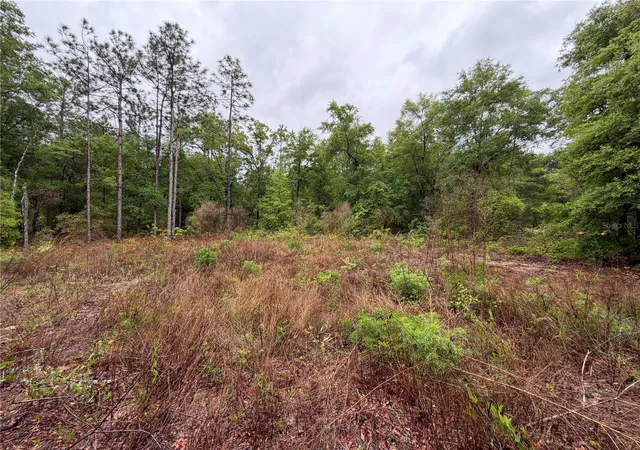 Photo 3 of Land for sale at 301 Rainbow Dr, Hawthorne, FL 32640 | MLS# GC539236 | Listing updated on 2026-07-01