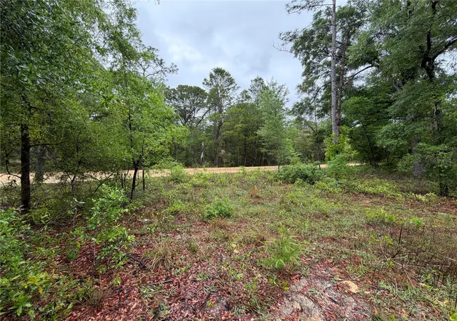 Photo 4 of Land for sale at 301 Rainbow Dr, Hawthorne, FL 32640 | MLS# GC539236 | Listing updated on 2026-07-01