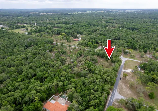 14th image of 16021 Forzando Ave, Brooksville, FL 34604 | MLS# TB8495110