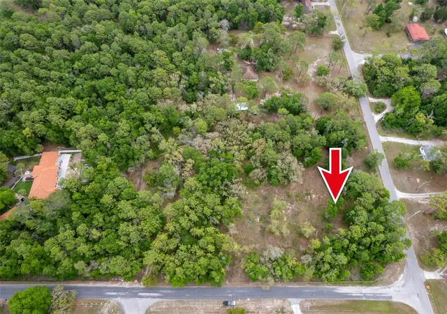 4th image of 16021 Forzando Ave, Brooksville, FL 34604 | MLS# TB8495110