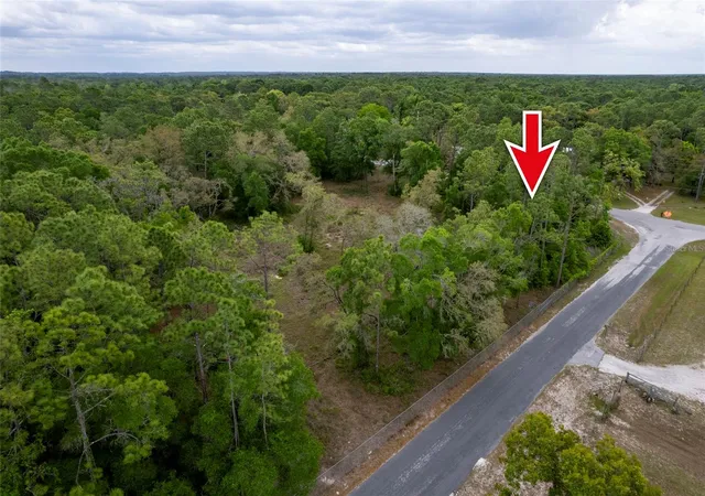 5th image of 16021 Forzando Ave, Brooksville, FL 34604 | MLS# TB8495110