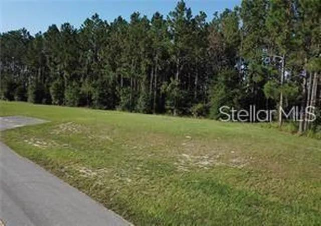 1st image of Lake Smith Rd, Umatilla, FL 32784 | MLS# S5147385