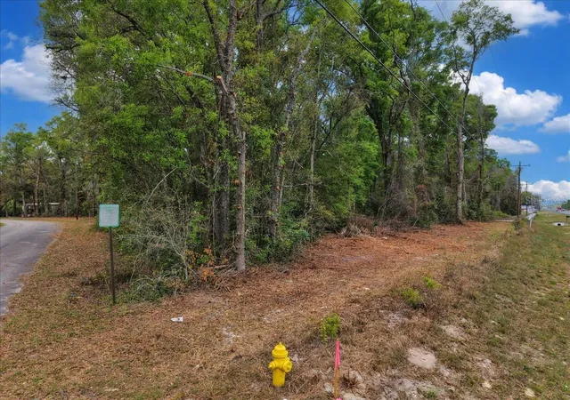 Homes for sale in Fanning Springs, FL | 000 Nw Us Hwy 19, Fanning Springs, FL 32693 | MLS# GC539257