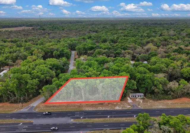 Homes for sale in Fanning Springs, FL | 000 Nw Us Hwy 19, Fanning Springs, FL 32693 | MLS# GC539257