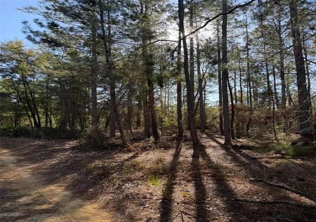 Photo 1 of Land for sale at Tbt 5th Way, Interlachen, FL 32148 | MLS# OM722356 | Listing updated on 2026-10-01