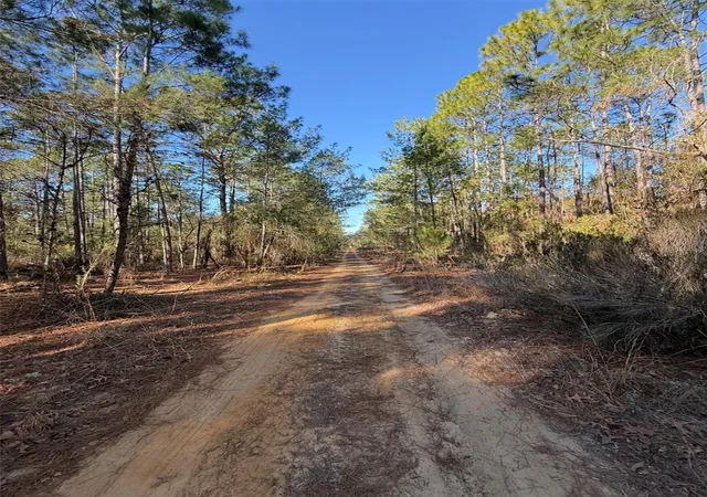 Photo 3 of Land for sale at Tbt 5th Way, Interlachen, FL 32148 | MLS# OM722356 | Listing updated on 2026-10-01