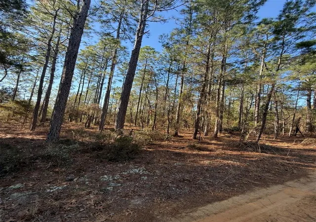 Photo 4 of Land for sale at Tbt 5th Way, Interlachen, FL 32148 | MLS# OM722356 | Listing updated on 2026-10-01