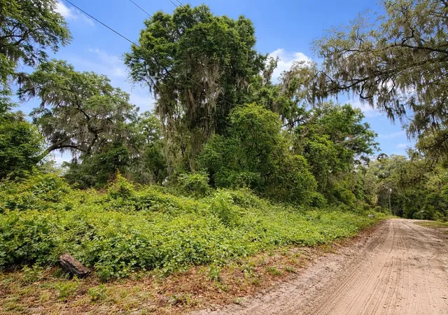 1st image of Tbd Ne 52nd Ct, Anthony, FL 32617 | MLS# OM722374
