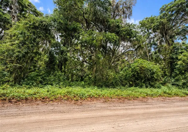 2nd image of Tbd Ne 52nd Ct, Anthony, FL 32617 | MLS# OM722374