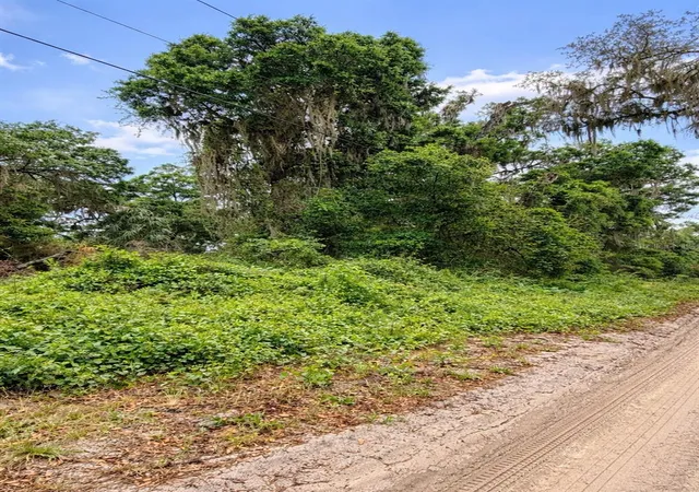 3rd image of Tbd Ne 52Nd Ct, Anthony, FL 32617 | MLS# OM722374
