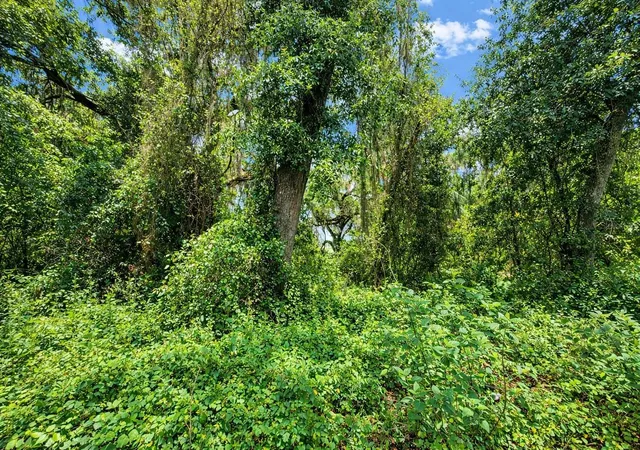 4th image of Tbd Ne 52Nd Ct, Anthony, FL 32617 | MLS# OM722374