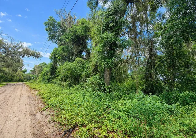 5th image of Tbd Ne 52Nd Ct, Anthony, FL 32617 | MLS# OM722374
