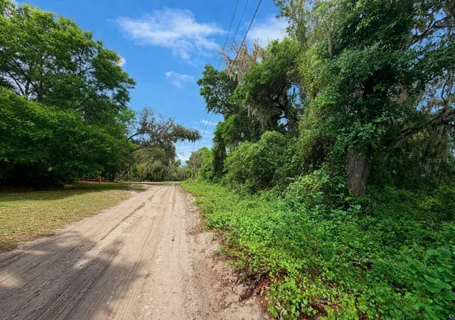 6th image of Tbd Ne 52nd Ct, Anthony, FL 32617 | MLS# OM722374