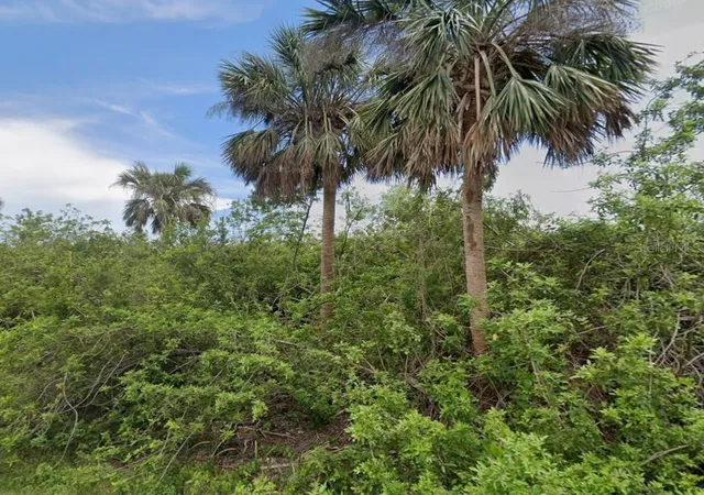 Photo 2 of Land for sale at 14529 Mcmillin Ave, Port Charlotte, FL 33953 | MLS# D6146950 | Listing updated on 2026-09-16