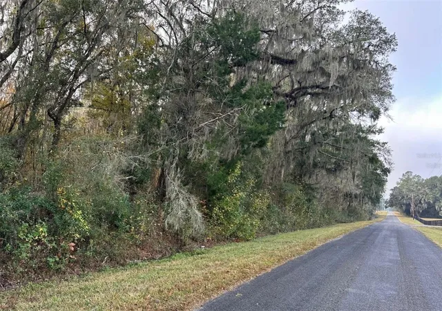 12th image of Nw 160th St, Reddick, FL 32686 | MLS# OM722390
