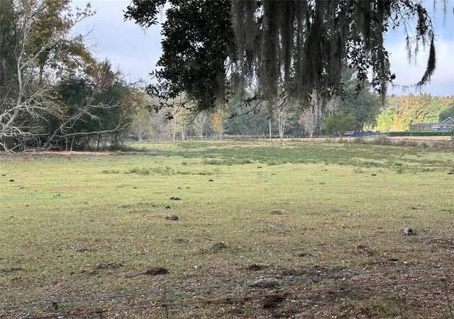 3rd image of Nw 160Th St, Reddick, FL 32686 | MLS# OM722390