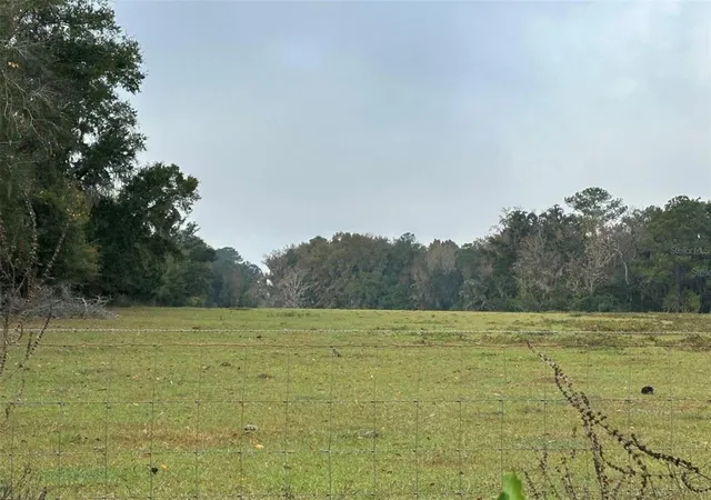 4th image of Nw 160Th St, Reddick, FL 32686 | MLS# OM722390