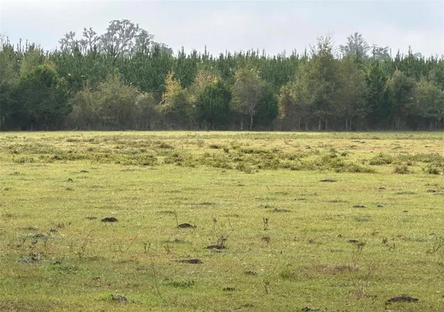 5th image of Nw 160Th St, Reddick, FL 32686 | MLS# OM722390