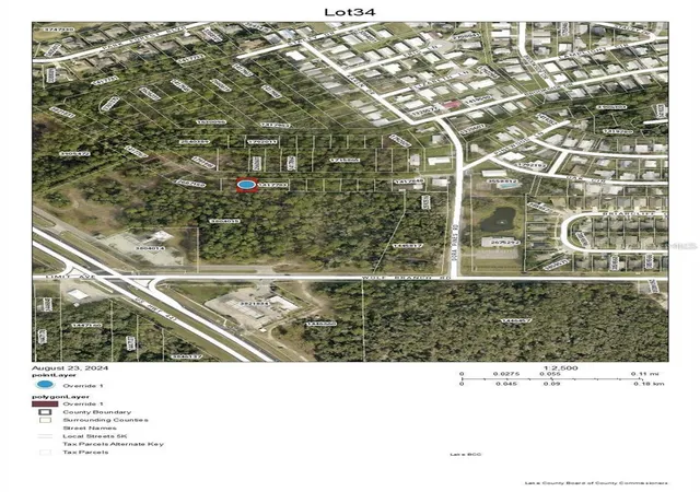 3rd image of Lot 34 Wolf Branch Rd, Mount Dora, FL 32757 | MLS# G5110754