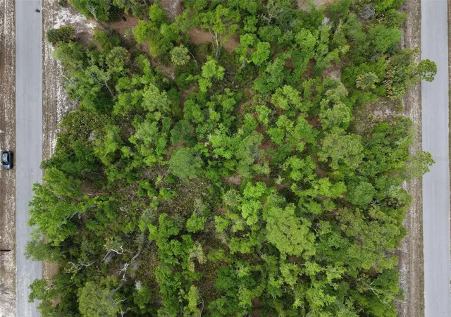 Photo 1 of Land for sale at 1249 Chris Ter, Port Charlotte, FL 33953 | MLS# O6397432 | Listing updated on 2026-05-30
