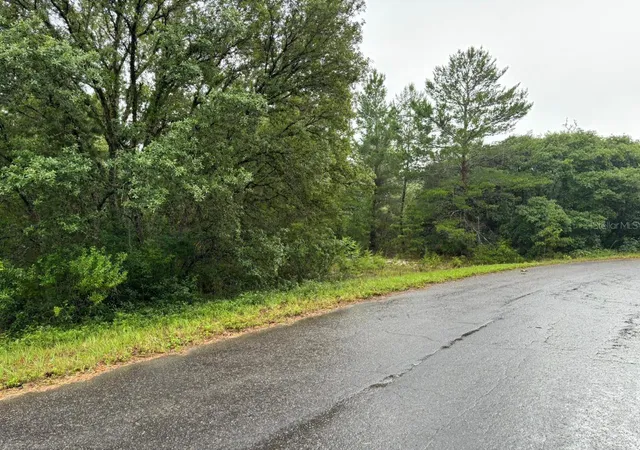 1st image of 16 Fisher Court Wy, Ocklawaha, FL 32179 | MLS# O6397613