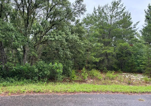 2nd image of 16 Fisher Court Wy, Ocklawaha, FL 32179 | MLS# O6397613
