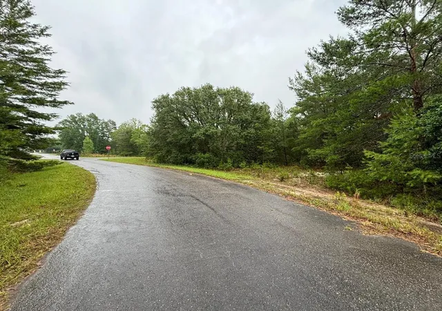 3rd image of 16 Fisher Court Wy, Ocklawaha, FL 32179 | MLS# O6397613