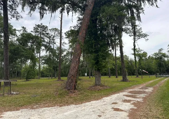 5th image of 6800 Ne 175Th St Rd, Citra, FL 32113 | MLS# OM722444