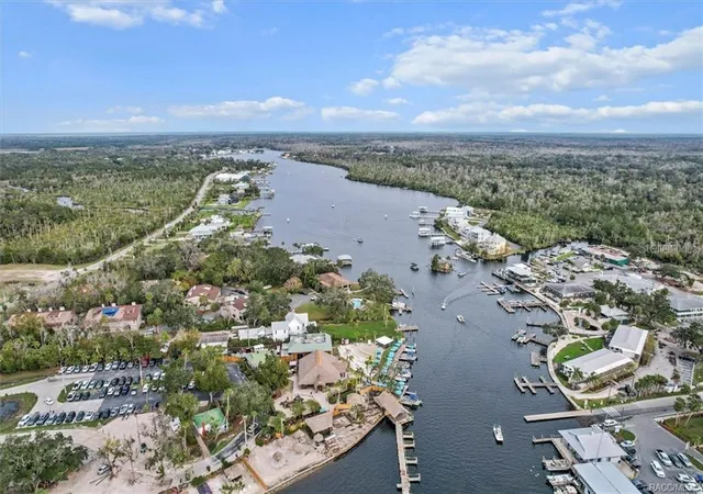 3rd image of 10460 W New York St, Homosassa, FL 34448 | MLS# TB8495824