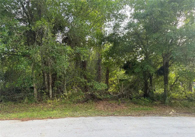 1st image of 11 Patrick Pl, Palm Coast, FL 32164 | MLS# FC317625