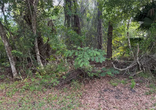 3rd image of 11 Patrick Pl, Palm Coast, FL 32164 | MLS# FC317625
