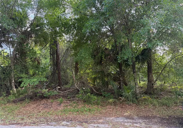5th image of 11 Patrick Pl, Palm Coast, FL 32164 | MLS# FC317625