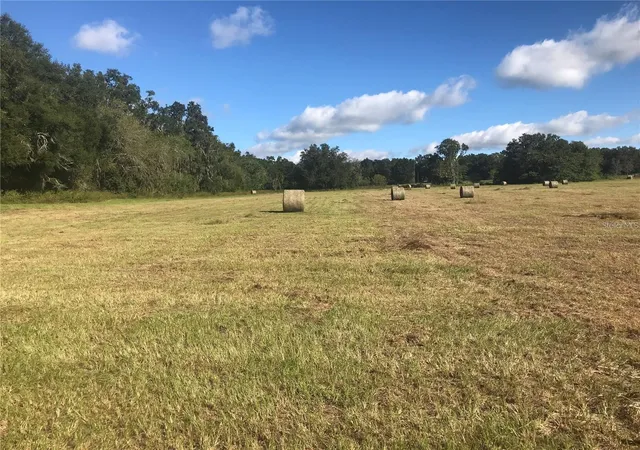 1st image of 32nd Court, Reddick, FL 32686 | MLS# OM722508