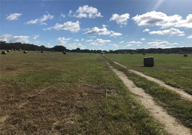 2nd image of 32nd Court, Reddick, FL 32686 | MLS# OM722508