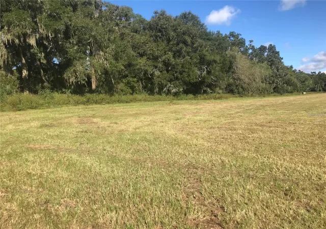 3rd image of 32nd Court, Reddick, FL 32686 | MLS# OM722508