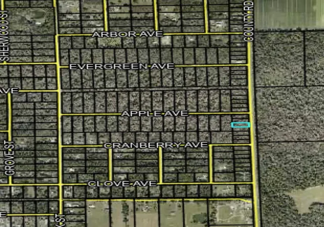 Photo 2 of Land for sale at 2166 Cr 305, Bunnell, FL 32110 | MLS# FC317629 | Listing updated on 2026-08-13