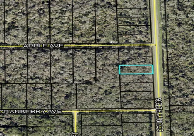 Photo 2 of Land for sale at 2166 Cr 305, Bunnell, FL 32110 | MLS# FC317629 | Listing updated on 2026-08-13
