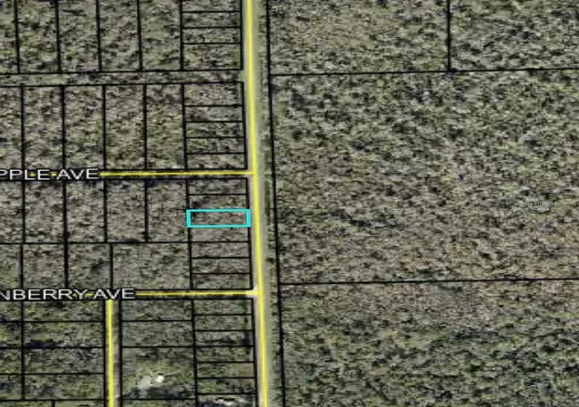 Photo 3 of Land for sale at 2166 Cr 305, Bunnell, FL 32110 | MLS# FC317629 | Listing updated on 2026-08-13