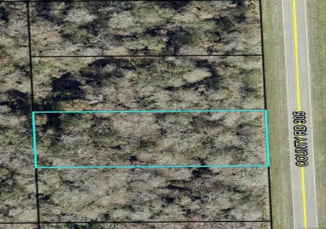 Photo 5 of Land for sale at 2166 Cr 305, Bunnell, FL 32110 | MLS# FC317629 | Listing updated on 2026-08-13