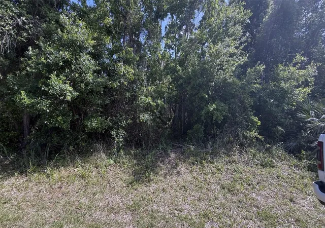 Photo 3 of Land for sale at 05 Washington St, New Smyrna Beach, FL 32168 | MLS# NS1087908 | Listing updated on 2026-08-11