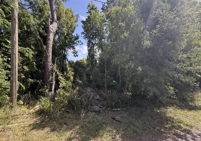 Photo 3 of Land for sale at 05 Washington St, New Smyrna Beach, FL 32168 | MLS# NS1087908 | Listing updated on 2026-08-11