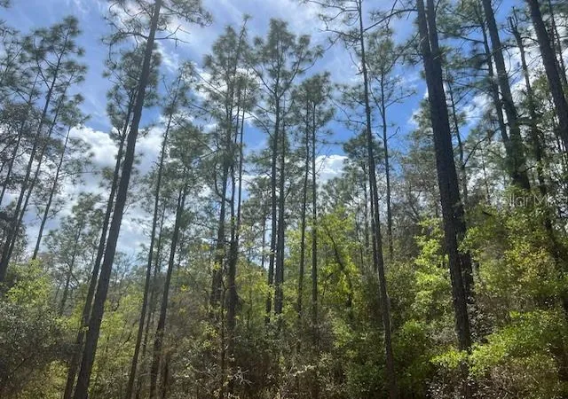 2nd image of 181 Whirlwind Loop, Hawthorne, FL 32640 | MLS# GC539337