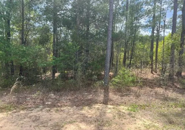 3rd image of 181 Whirlwind Loop, Hawthorne, FL 32640 | MLS# GC539337