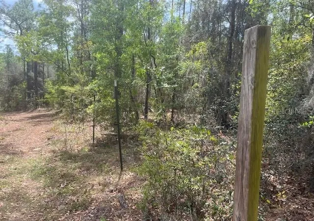 5th image of 181 Whirlwind Loop, Hawthorne, FL 32640 | MLS# GC539337
