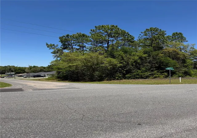Photo 2 of Land for sale at 8975 N Travis Dr, Citrus Springs, FL 34434 | MLS# O6398041 | Listing updated on 2026-07-14