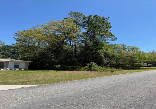 Photo 3 of Land for sale at 8975 N Travis Dr, Citrus Springs, FL 34434 | MLS# O6398041 | Listing updated on 2026-07-14