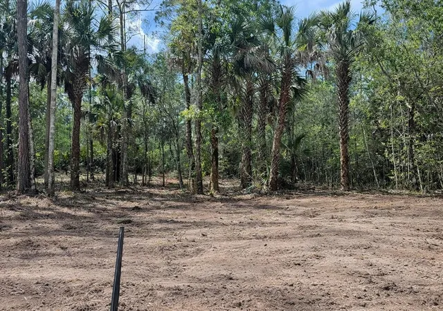 Homes for sale in Bunnell, FL | 2216 Laurel Ave, Bunnell, FL 32110 | MLS# FC317644