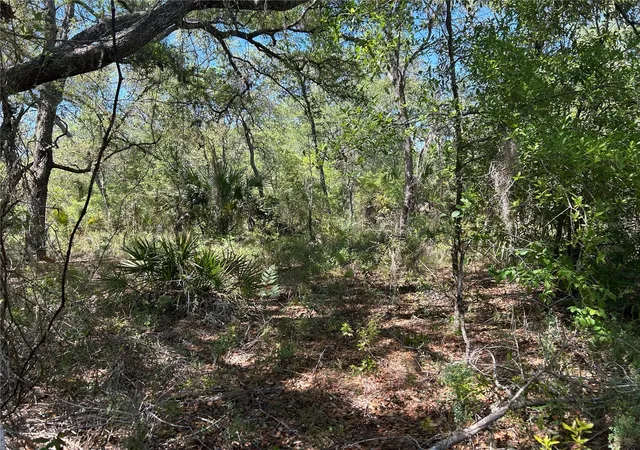 Homes for sale in Morriston, FL | Tbd Se 62nd, Morriston, FL 32668 | MLS# OM722544