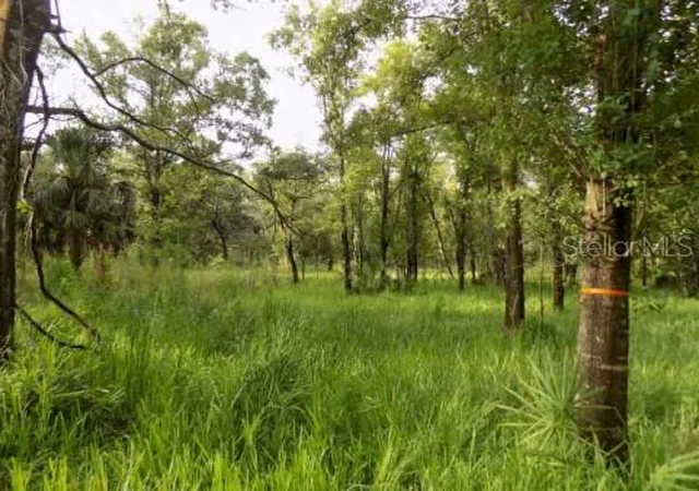 Photo 3 of Land for sale at 5001 Whippoorwill Dr, Holiday, FL 34690 | MLS# W7884728 | Listing updated on 2026-04-11